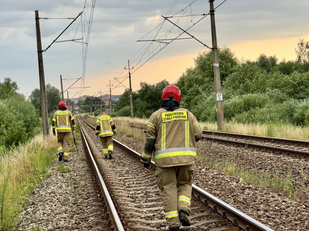 Tym razem strażacy zdążyli na czas. Co roku przy ul. Dojazdowej w Elblągu dochodzi do licznych podpaleń traw