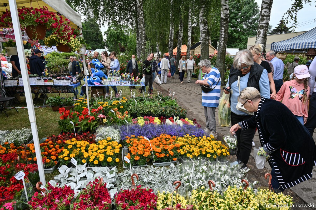 Przed nami 29. Żuławskie Targi Rolne. Stare Pole zaprasza w dniach 15-16 czerwca