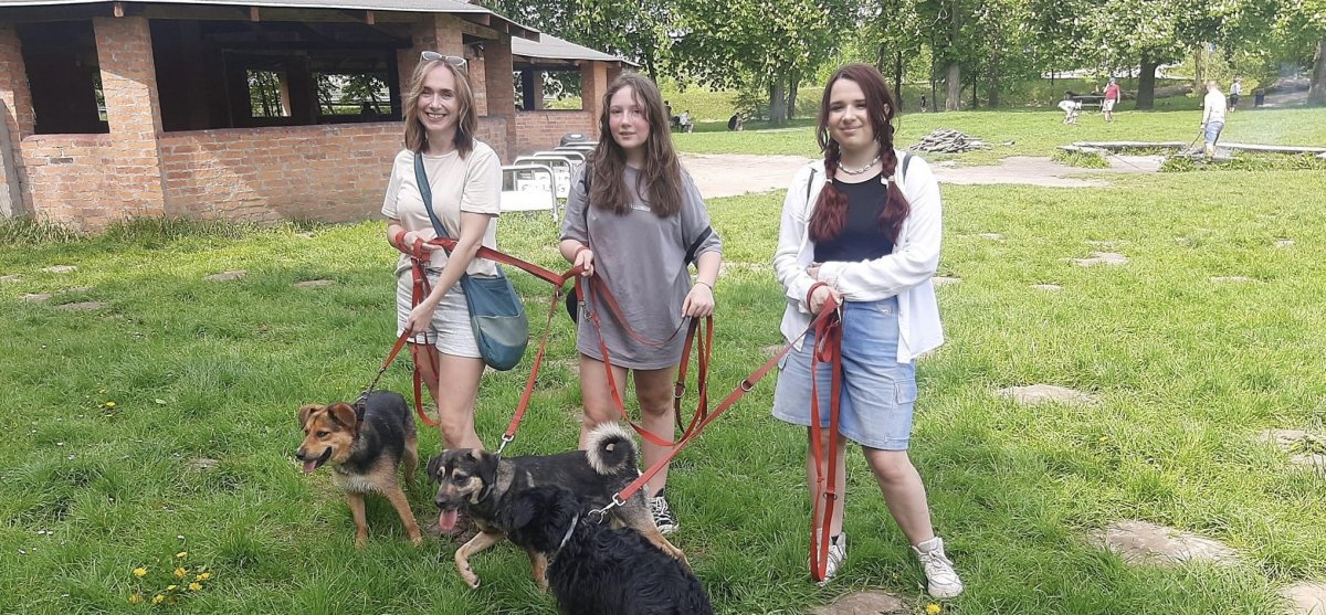 Elbląg: Czerwcowy Bieg na 6 łap 