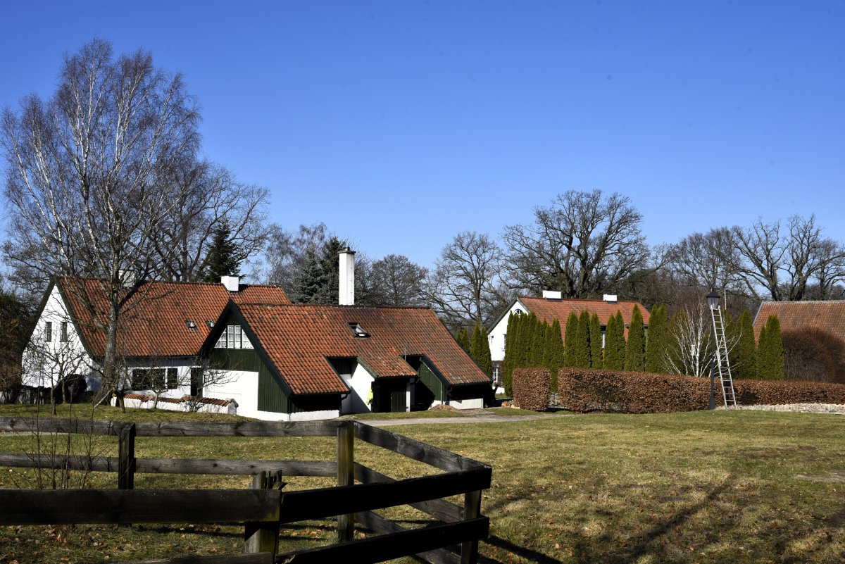 Wysoczyzna Elbląska od A do Z 2024: F jak folwarki 