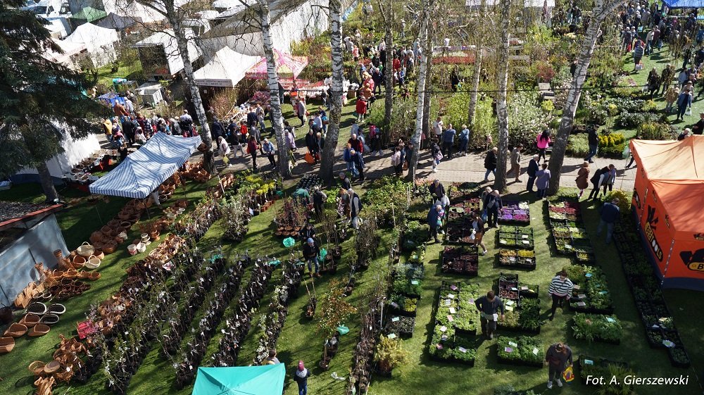 Stare Pole: XIII Wiosenne Targi Ogrodnicze już w ten weekend