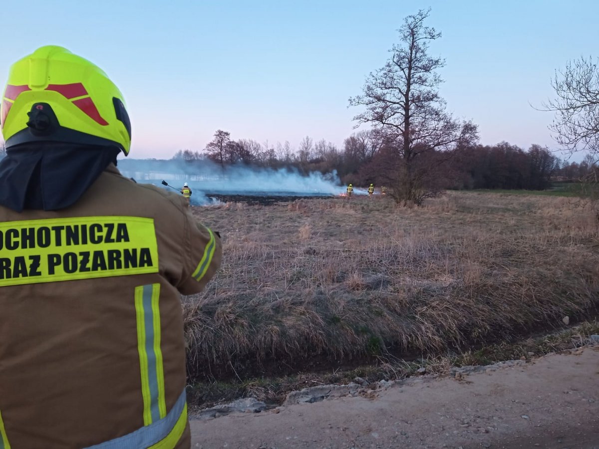 Straż pożarna apeluje, ale sezon właśnie się rozpoczyna. Pożary traw to w znacznej części przypadków podpalenia. Co grozi za wypalanie traw? 