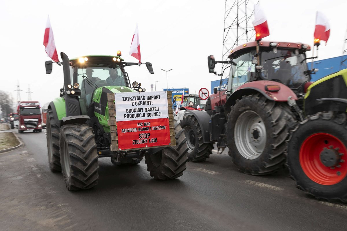 Protest rolników w Elblągu. Rolniczy piknik rodzinny zamiast blokady dróg
