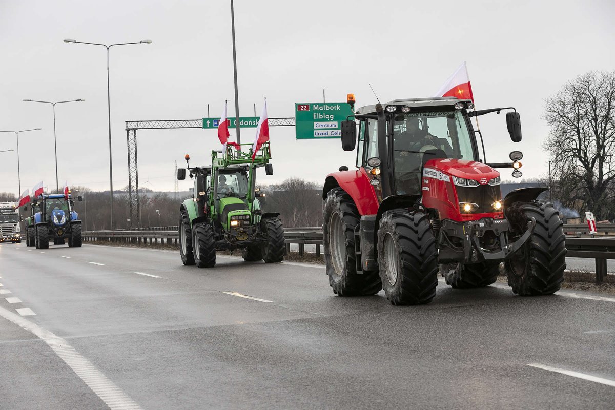 Protest rolników w Elblągu. „Płynie do nas zboże oligarchów”. Rolnicy mówią, dlaczego protestują i blokują drogę S7 [ZDJĘCIA]