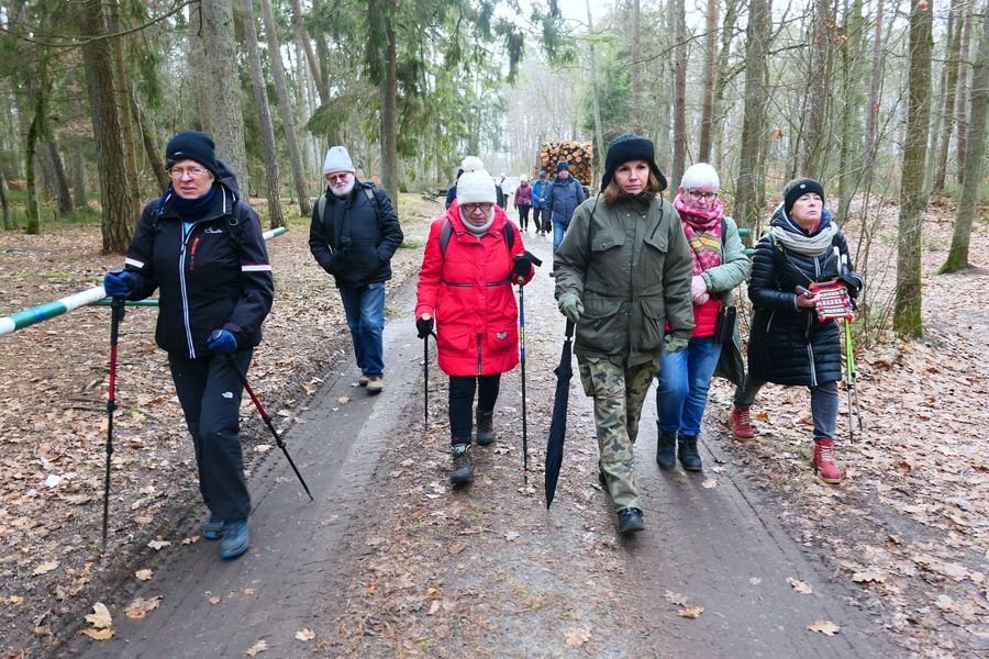 Pieszo przypomnieli, jak ważne są mokradła

