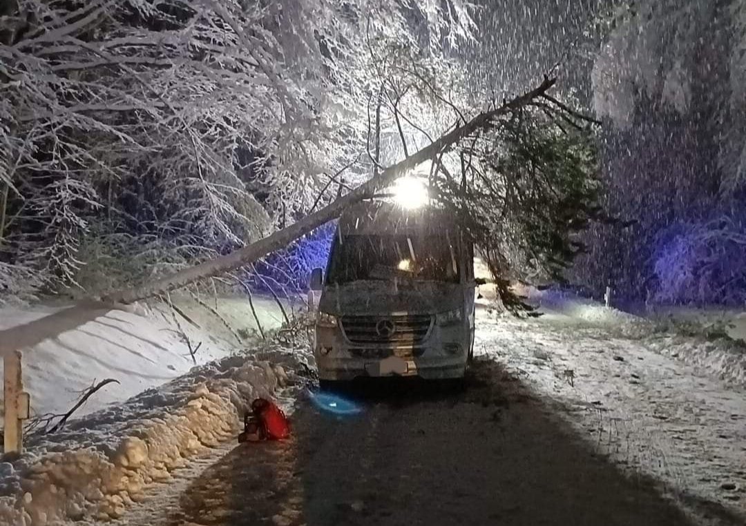Na autobus przewróciło się drzewo. Jedna osoba w szpitalu