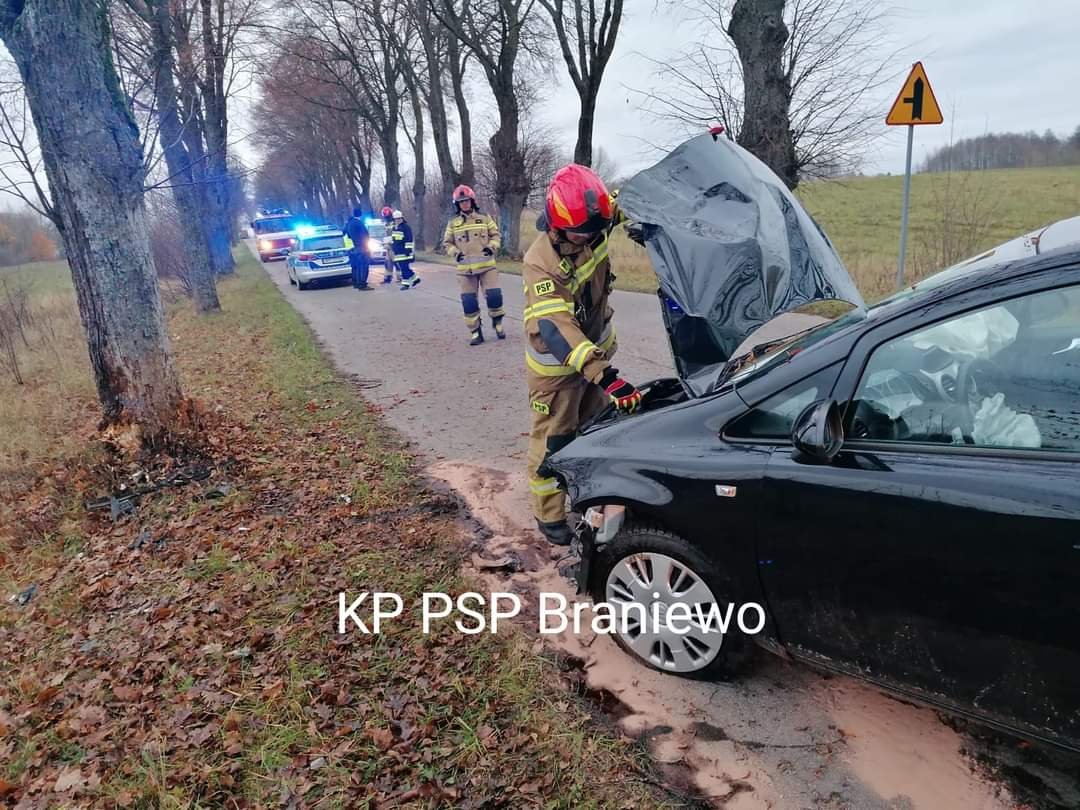 Samochód osobowy uderzył w przydrożne drzewo
