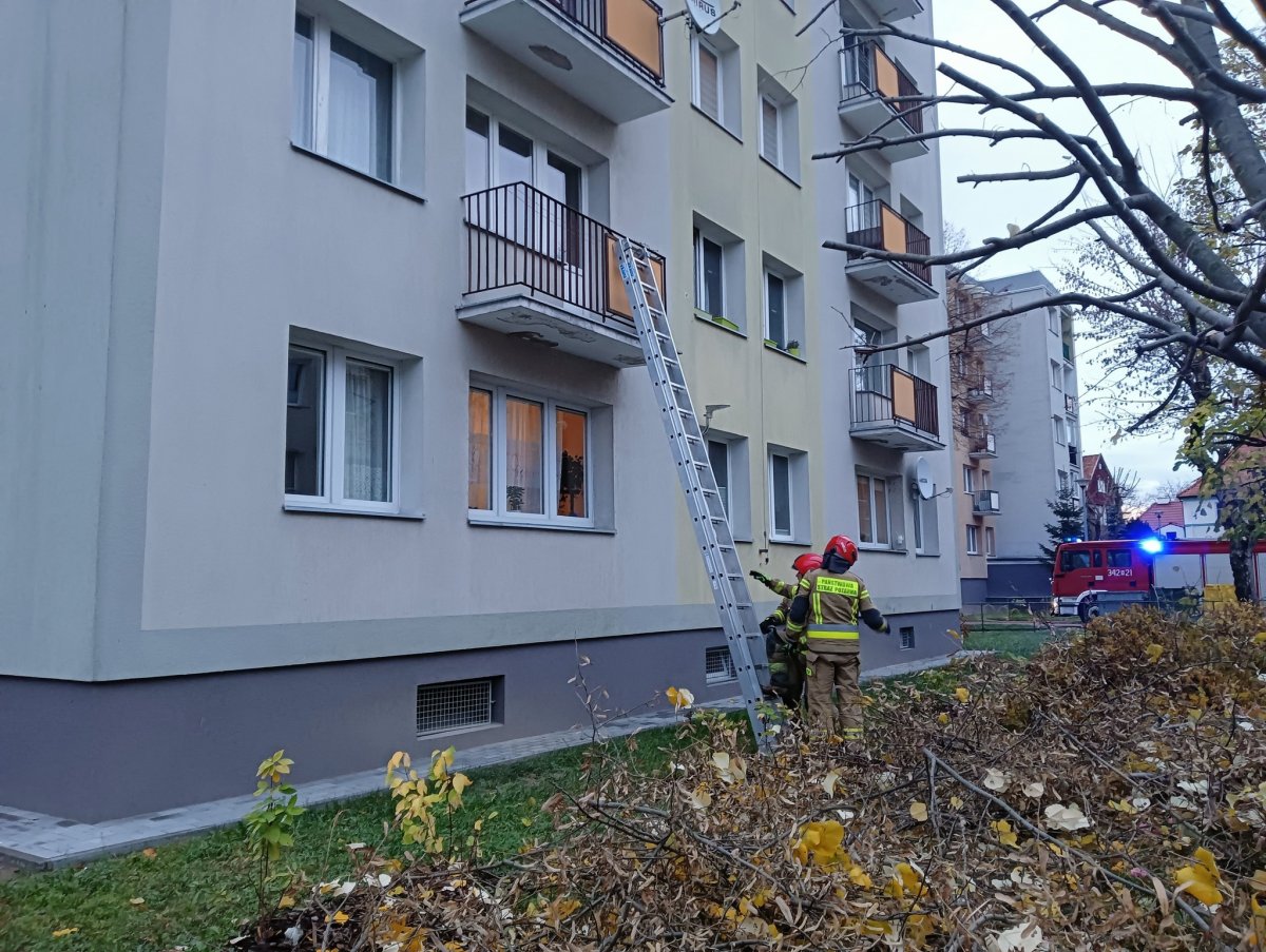 89-letnia mieszkanka Elbląga uratowana w ostatniej chwili dzięki troskliwej sąsiadce