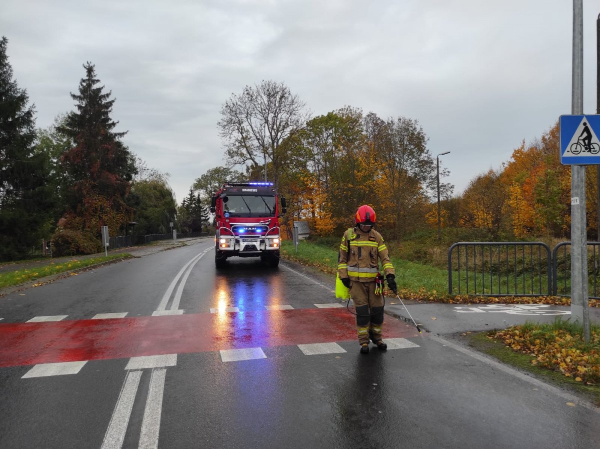 Braniewscy strażacy usuwali kilkukilometrowe plamy ropy