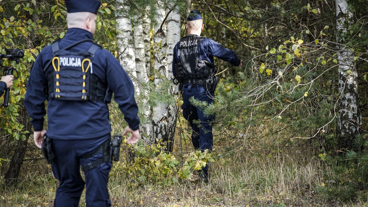 Grzegorz Borys wciąż poszukiwany. Policja: Apelujemy o to, aby nie wchodzić do Trójmiejskiego Parku Krajobrazowego