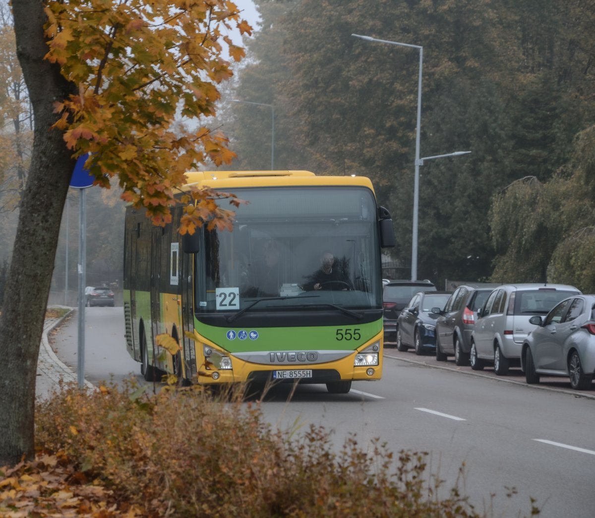 Elbląg:  Komunikacja miejska i organizacja ruchu w okresie Wszystkich Świętych