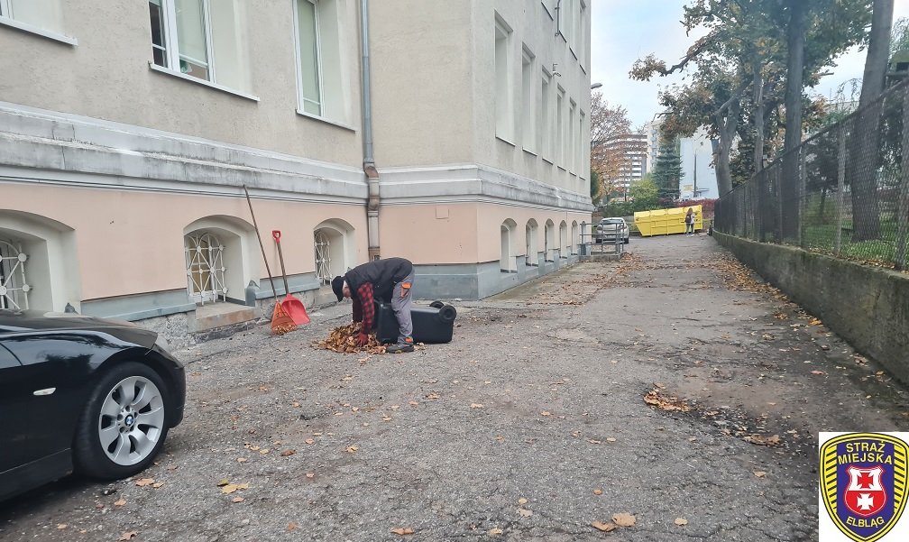 Sprzątanie liści przed prywatnymi posesjami to obowiązek. Za nieuprzątnięcie liści z chodników oraz za ich spalanie grozi mandat karny