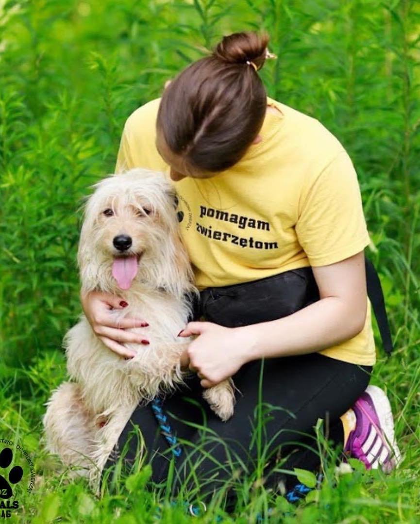 Elbląskie Święto Chleba: Zbiórka dla Ośrodka w Jelonkach, OTOZ Animals w Elblągu i TOZ