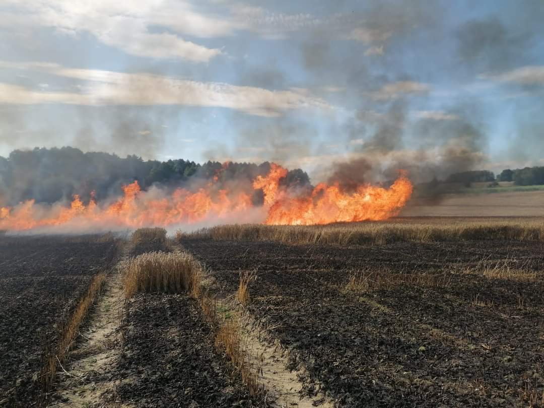 Pożar maszyny, rżyska i zboża. Dym było widać z kilkunastu kilometrów. Na miejscu pożaru pracowało 13 pojazdów ratowniczo-gaśniczych [ZDJĘCIA]