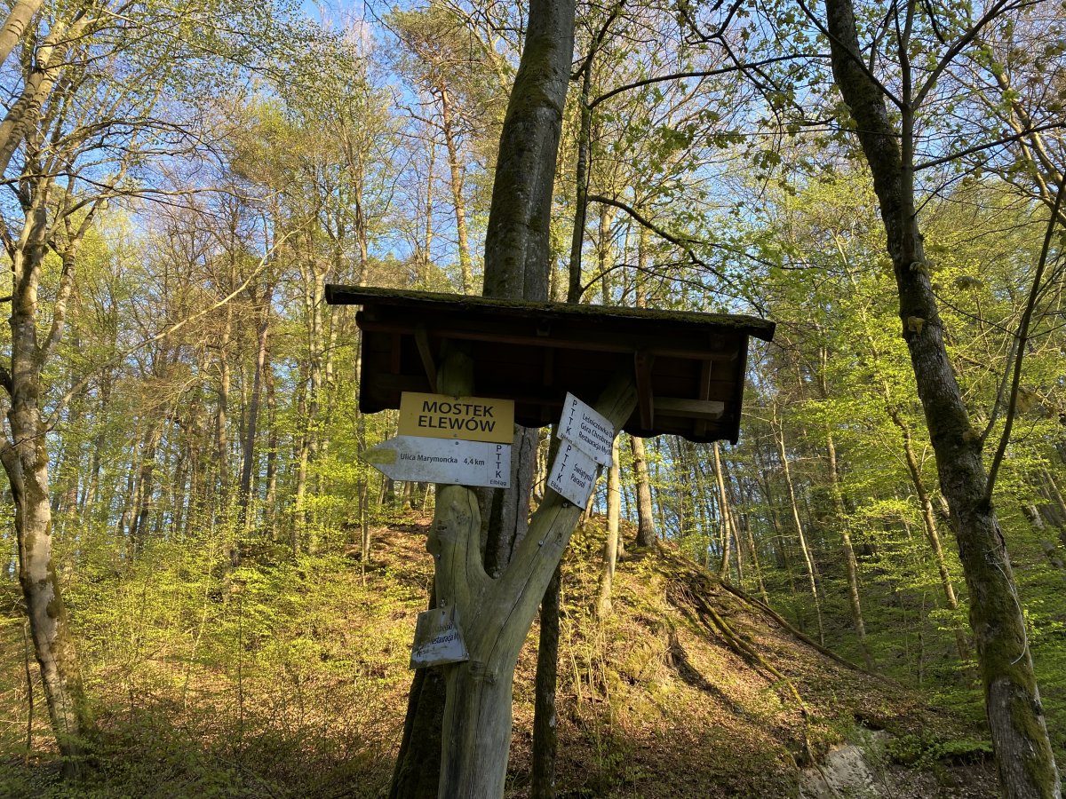 Odkryj tajemnice Bażantarni! Spacery przyrodniczo-historyczne z PKWE
