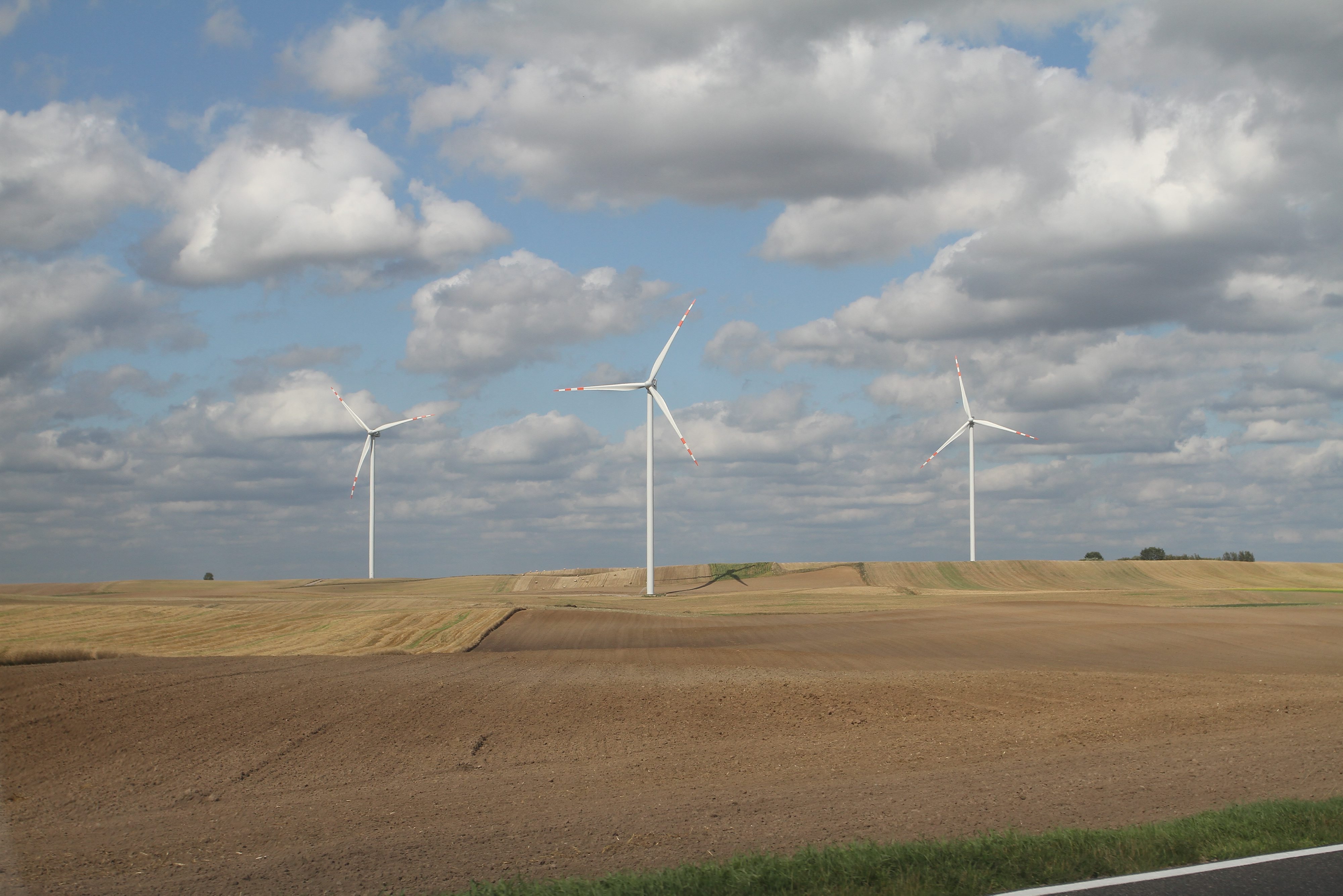 PSEW: energetyka wiatrowa przyspiesza, ale… są zagrożenia