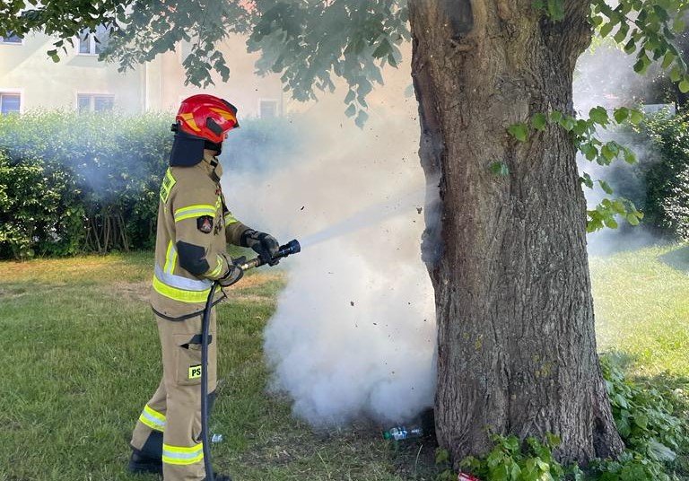 Braniewo: Strażacy gasili pożar drzewa