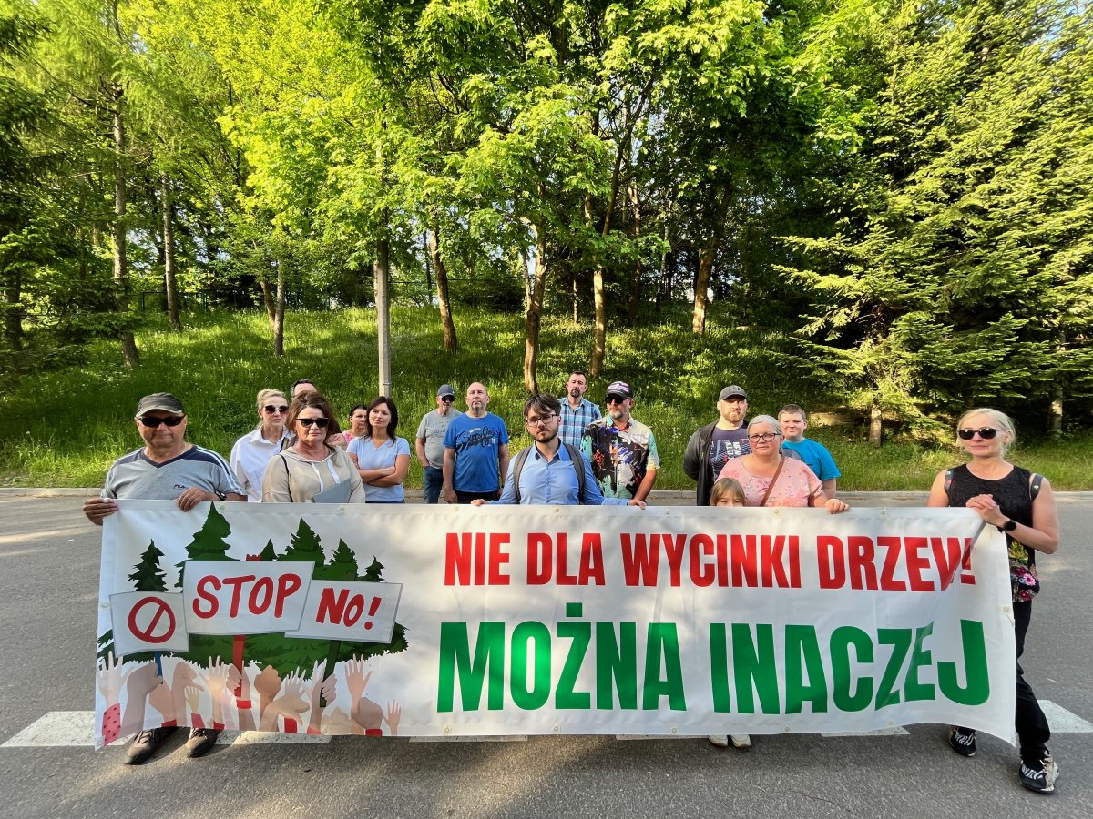 Elbląg: Wycinka drzew przy szpitalu. Mieszkańcy protestują. Walczą, aby uratować swój naturalny azyl, nie chcą mieć pustyni za oknami