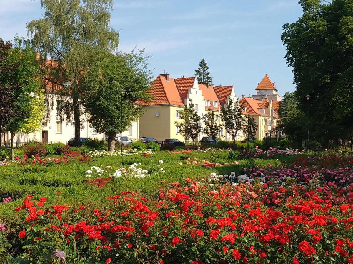Elbląg: Poznaj tajemnice parku Kajki. Park Krajobrazowy Wysoczyzny Elbląskiej oraz PTTK Oddział Ziemi Elbląskiej zapraszają do udziału w spacerze przyrodniczo-historycznym
