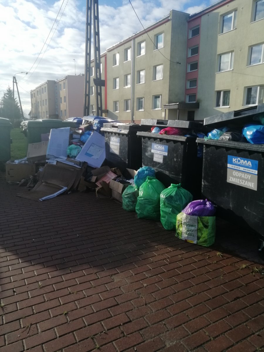 Śmieciowy problem w Gronowie Elbląskim