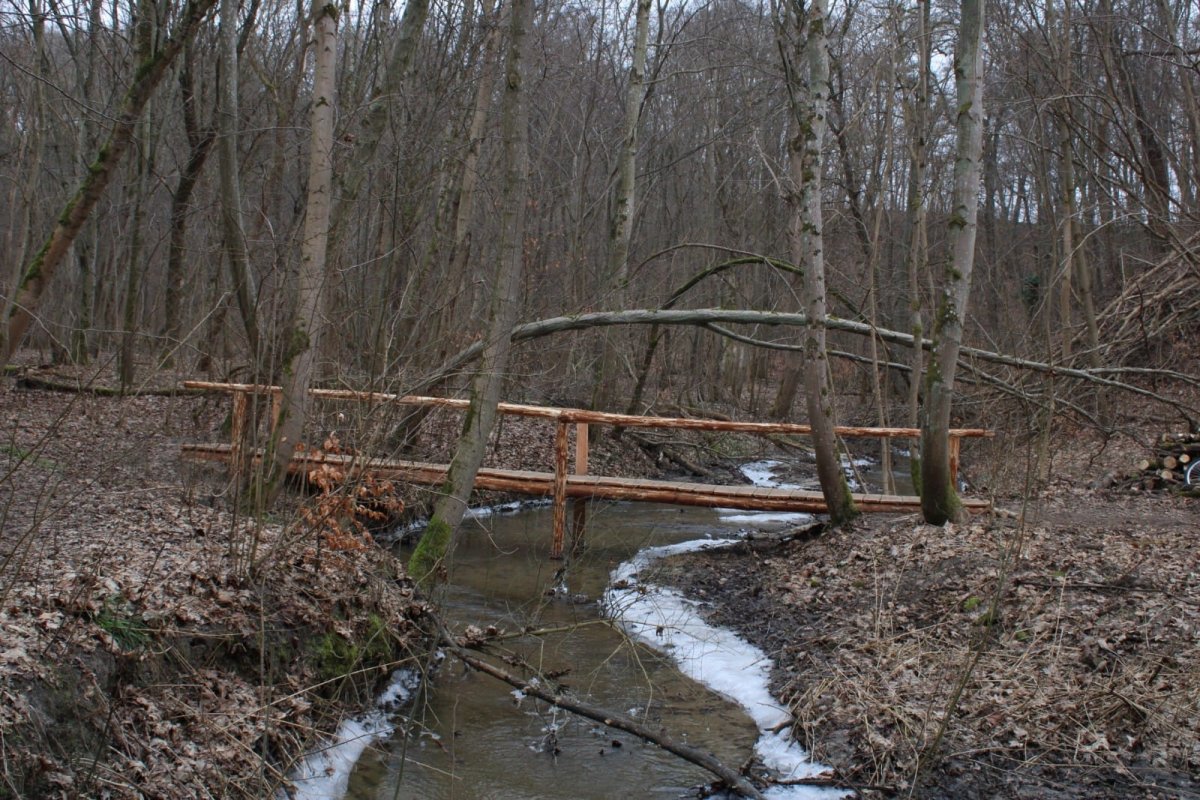 W oczekiwaniu na rewitalizację Parku Krajobrazowego Wysoczyzny Elbląskiej. Kładka zamiast mostku Elewów w Bażantarni? To nie takie proste