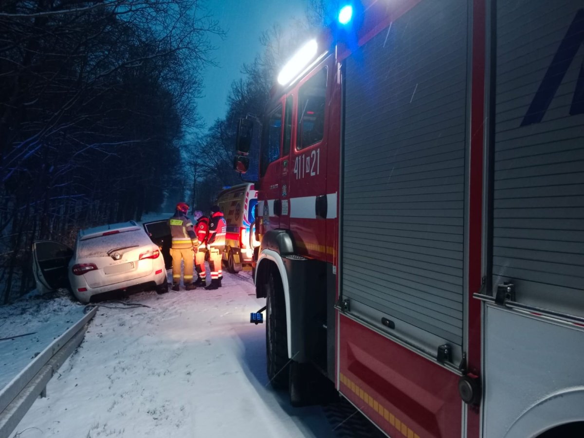 Wypadek w gminie Braniewo. Kobieta uderzyła w leżące na drodze drzewo [ZDJĘCIA]