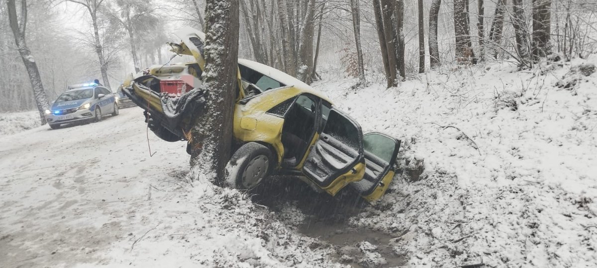 Zastawno: Kierujący audi wpadł w poślizg i uderzył tyłem pojazdu w drzewo [ZDJĘCIA]