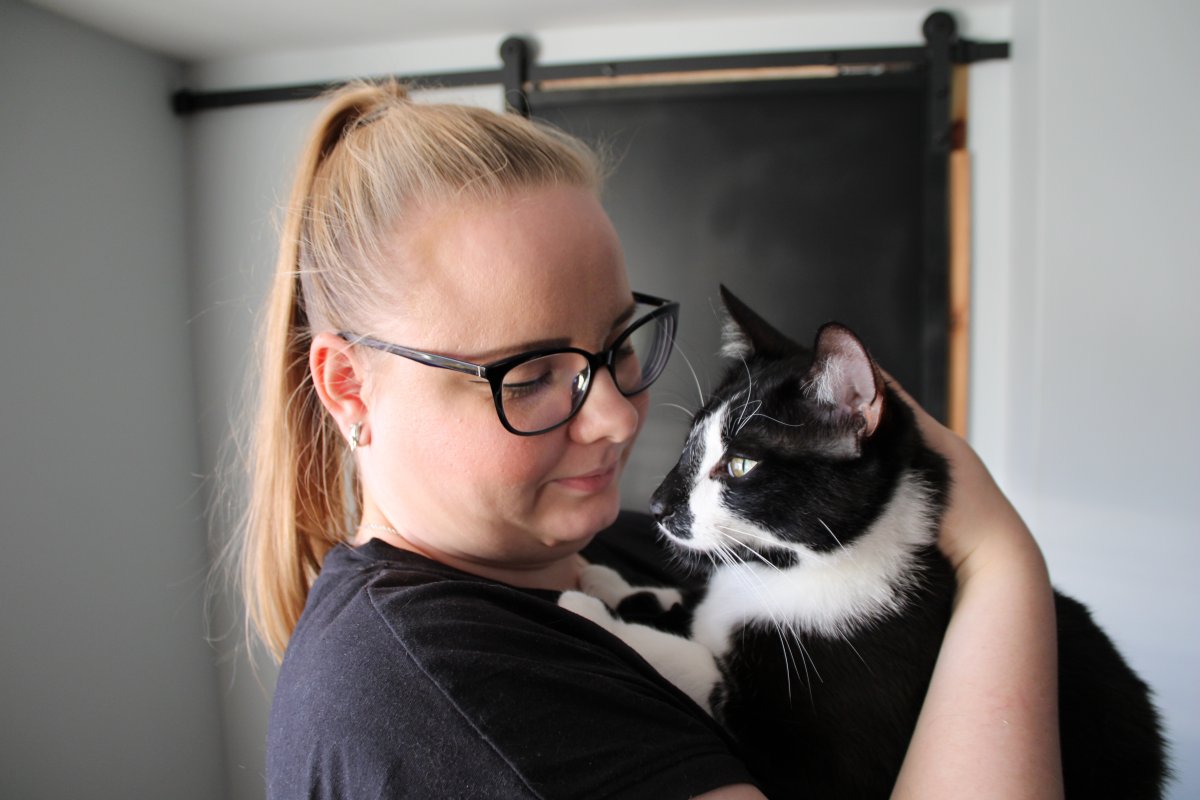 17 lutego to Światowy Dzień Kota. Sprawdzamy, kim jest catsitter