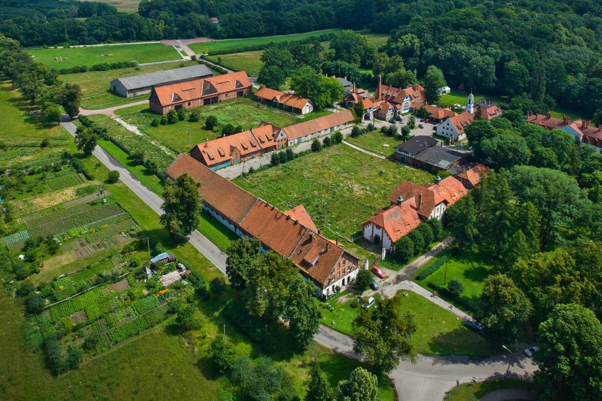 Wysoczyzna Elbląska od A do Z: C jak cesarz