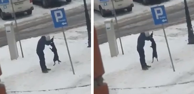 Elbląg: Film, na którym mężczyzna znęca się nad psem, trafił do internetu