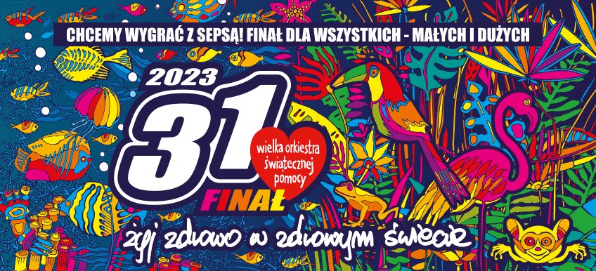 Bezpieczeństwo podczas 31. Finału Wielkiej Orkiestry Świątecznej Pomocy
