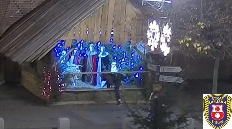 Zagubione owieczki odwiedziły szopkę bożonarodzeniową na elbląskiej Starówce
