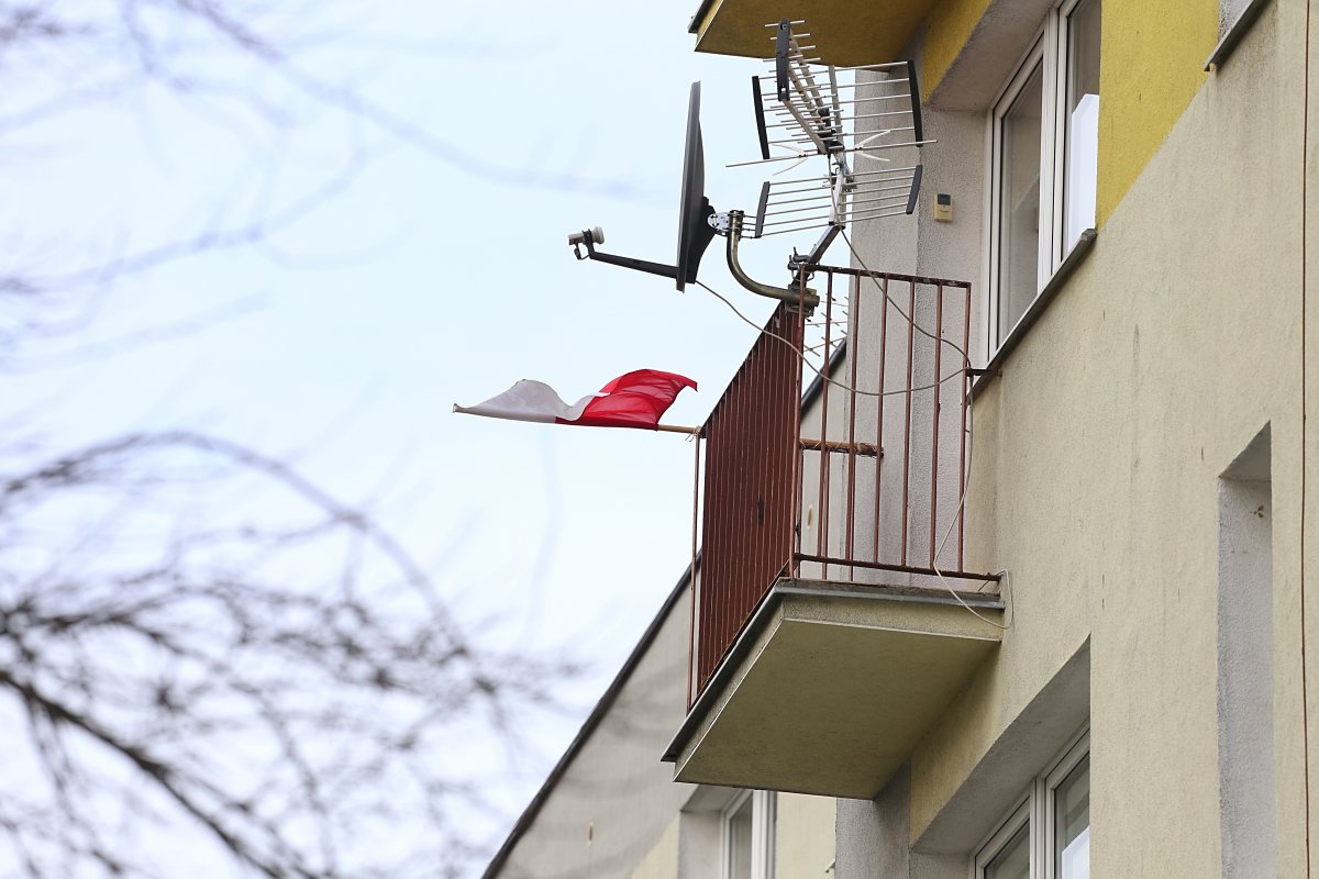 SONDAŻ: 11 listopada. Łączy czy dzieli? 