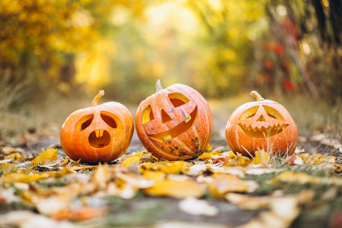Czy Halloween jest ok? [SONDA]
