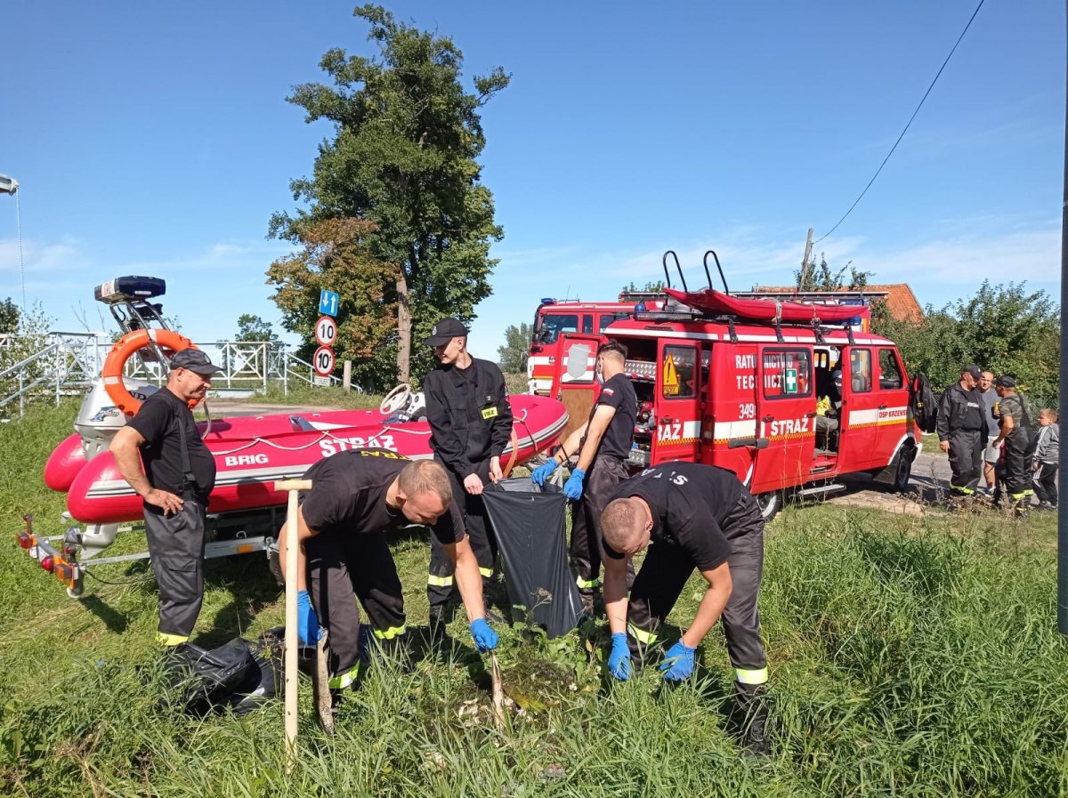 Śnięte ryby na Żuławach Elbląskich. Z rzeki Tina wyłowiono 200 kg martwych ryb