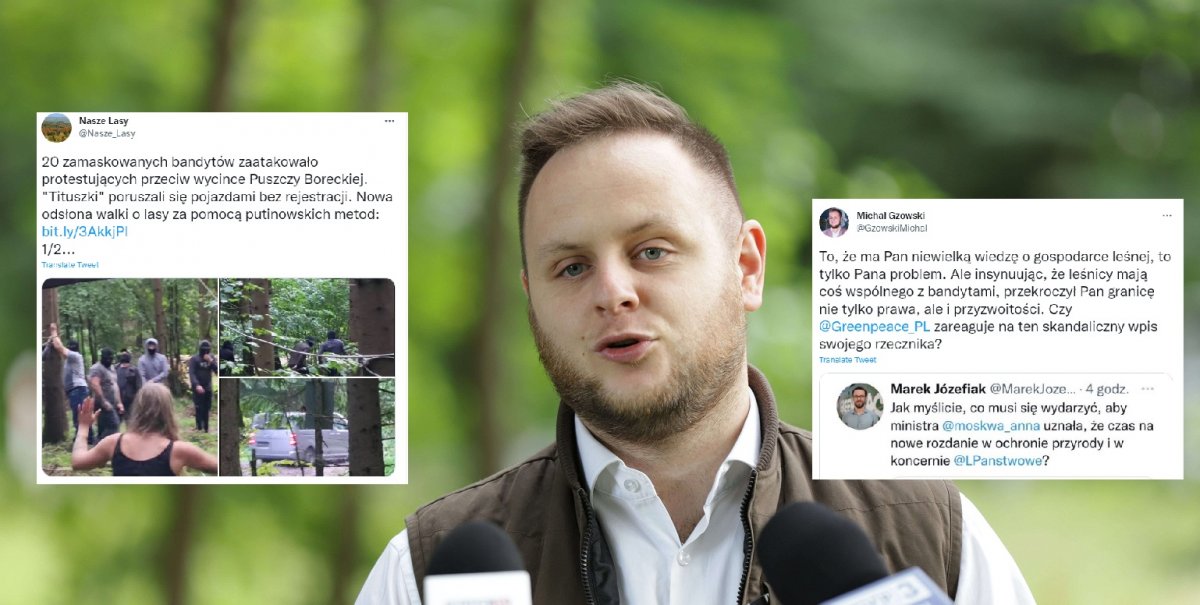 Rzecznik Greenpeace atakuje polskich leśników. Odpowiadają Lasy Państwowe
