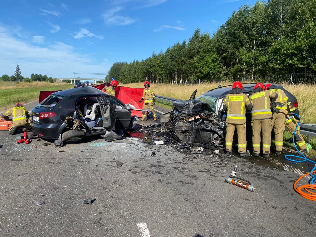 Kamiennik Wielki: Śmiertelny wypadek na berlince koło Elbląga. Cztery osoby zginęły w wypadku drogowym na DK 22 w warmińsko-mazurskim. W tym dziecko [VIDEO]