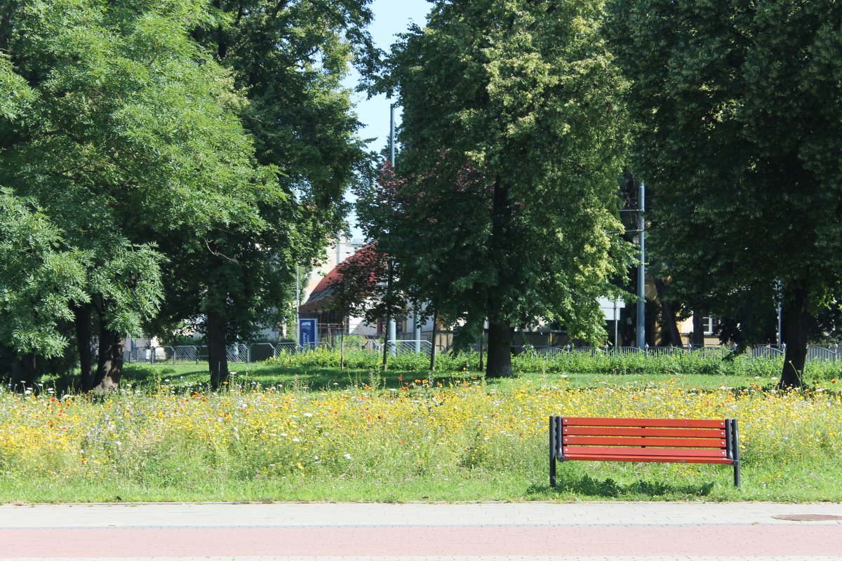 Elbląg: Coraz więcej ławek i śmietników
