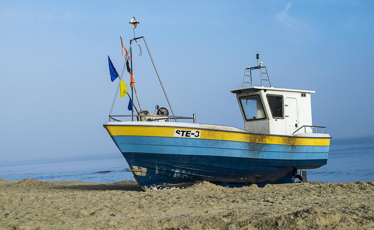 Stegna stolicą tegorocznych wakacji internautów. Jestem w Stegnie na plaży, na plaży jestem w Stegnie