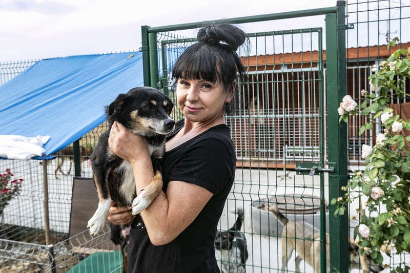 1 lipca obchodzimy w Polsce Dzień Psa. W czasie wakacji rośnie liczba porzucanych psów