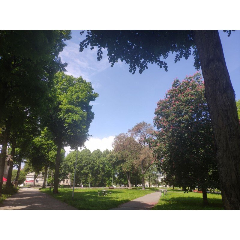 Elbląg: Park Planty czeka rewitalizacja
