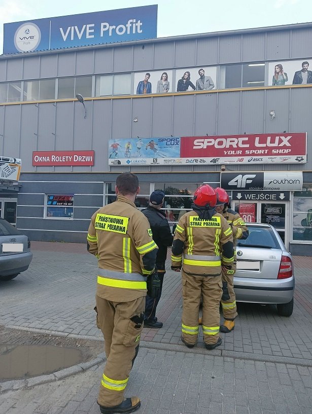 Elbląg: Na ratunek uwięzionemu ptaszkowi