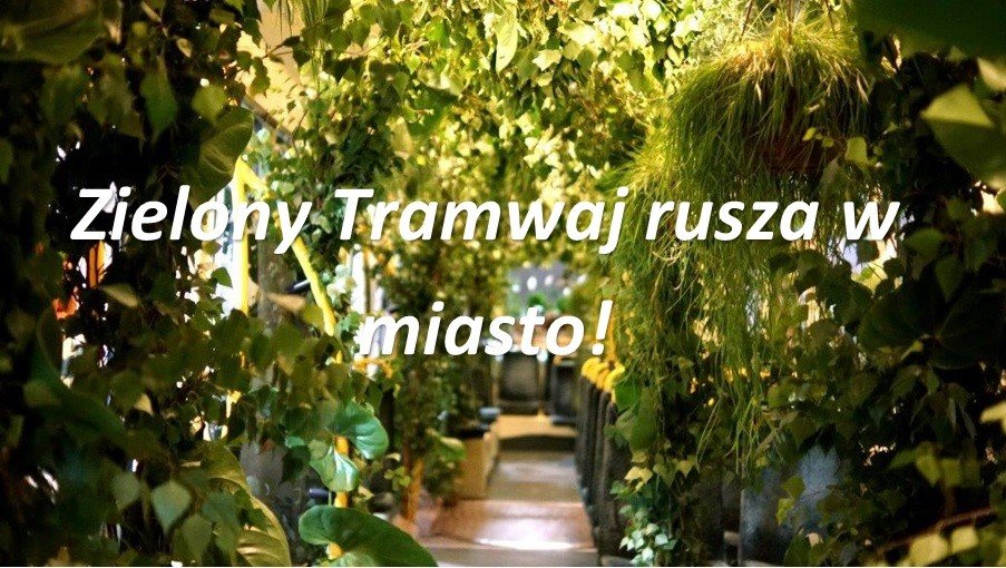 Elbląg: Zielony Tramwaj ruszy w miasto