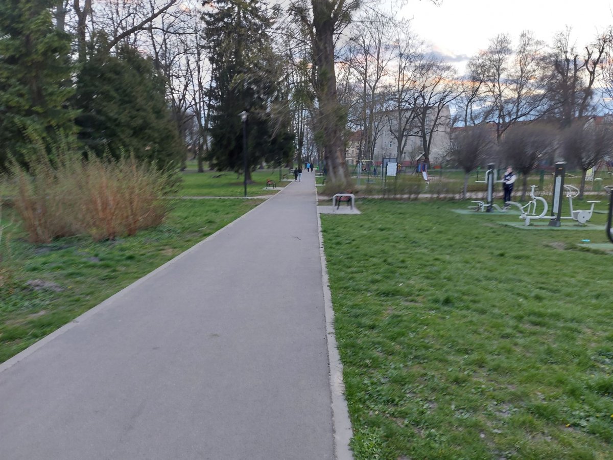 Park Traugutta: Problem z psami biegającymi luzem