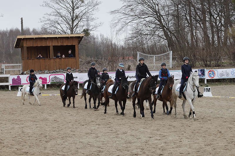 Fundacja Końskie Zdrowie świętuje 30. urodziny
