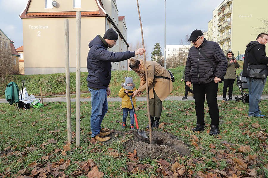 Jedno dziecko, jedno drzewo w Elblągu [ZDJĘCIA]