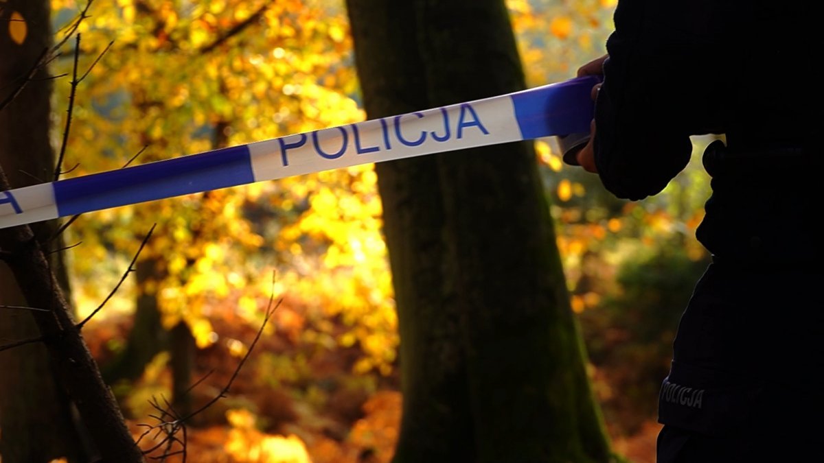 Nie wszystko, co znajdziesz w lesie, jest bezpieczne [VIDEO]