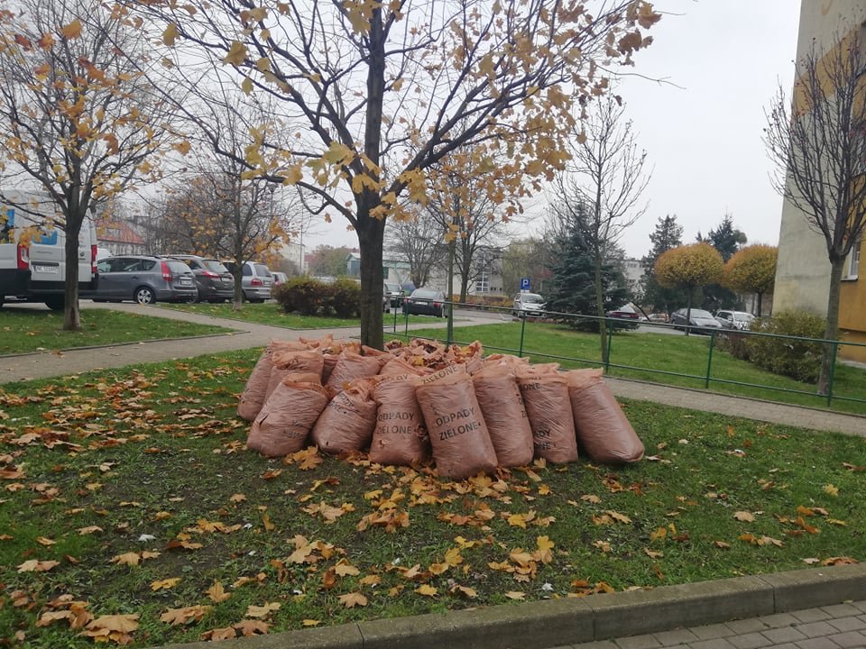 Jak grabi się liście w Elblągu? I co się z nimi dzieje?