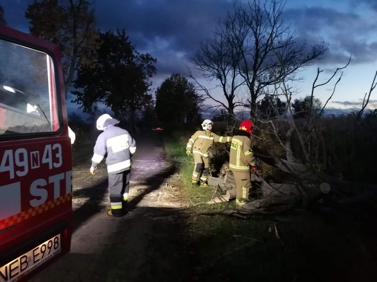 Silny wiatr w Elblągu i powiecie. Strażacy interweniowali kilkadziesiąt razy