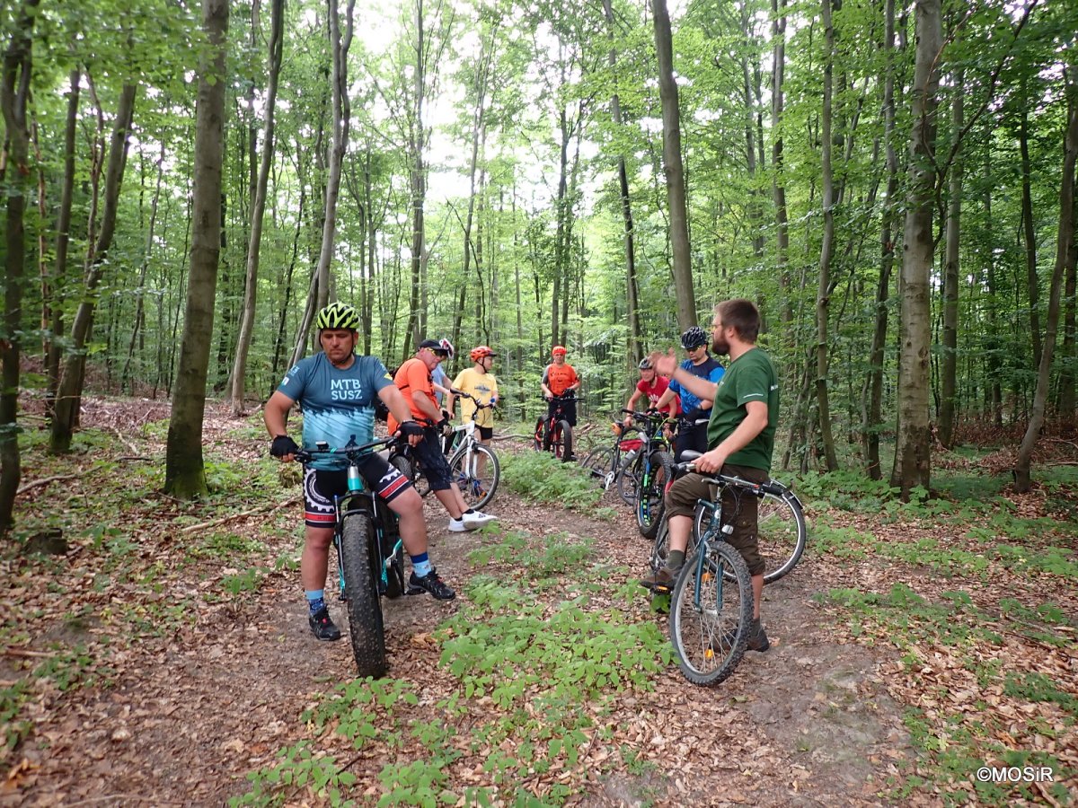 MOSiR zaprasza: Rowerowe spacery z leśnikiem